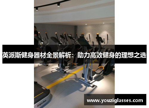 英派斯健身器材全景解析：助力高效健身的理想之选