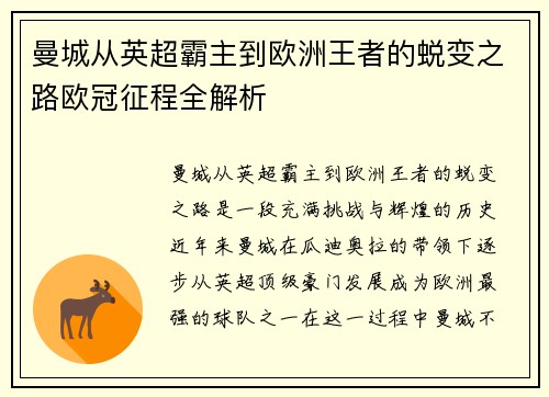 曼城从英超霸主到欧洲王者的蜕变之路欧冠征程全解析